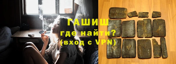 хмурый Аркадак