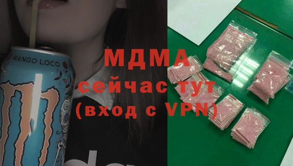 хмурый Аркадак