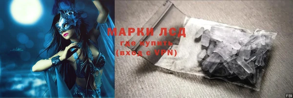 хмурый Аркадак
