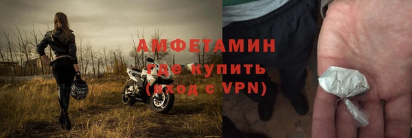 хмурый Аркадак