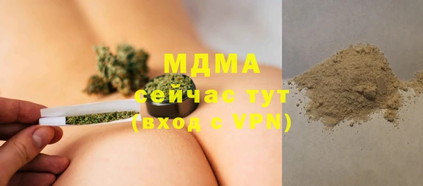 хмурый Аркадак