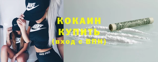 тгк Арсеньев