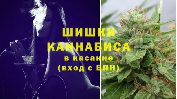 тгк Арсеньев