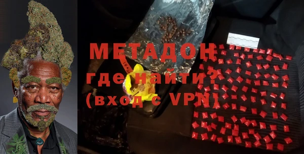 хмурый Аркадак