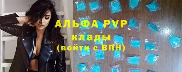 хмурый Аркадак