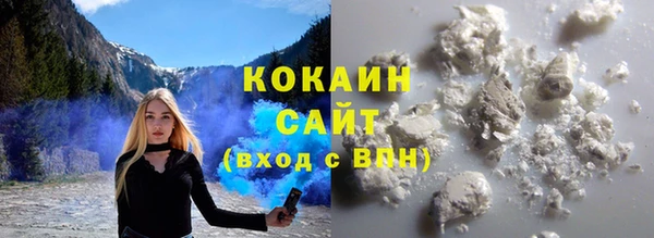 хмурый Аркадак