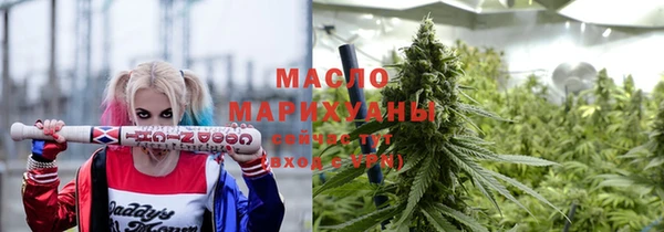 хмурый Аркадак