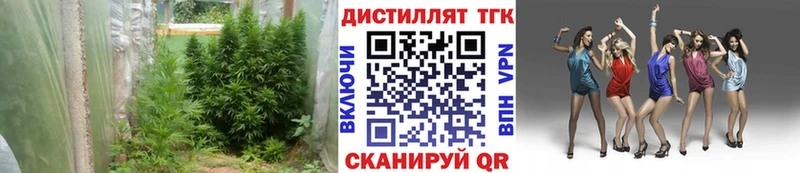 что такое наркотик  kraken сайт  ТГК THC oil  Бородино 