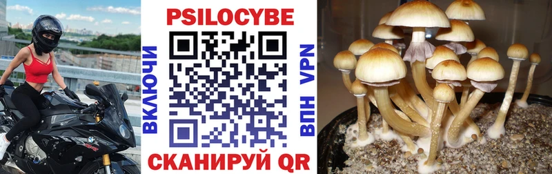 Галлюциногенные грибы мухоморы  Бородино 